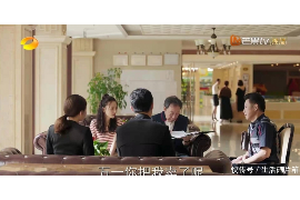 和田如何避免债务纠纷？专业追讨公司教您应对之策